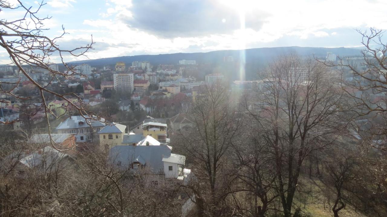 Apartments And Sauna Трускавец Екстериор снимка
